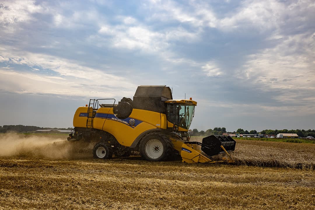 Pas op het laatste moment besloot Hanne Doeleman om dit jaar toch maar de hakselaar aan de maaidorser in te schakelen. Vooral omdat de natte grond weinig zwaar transport verdraagt. - Foto's: Peter Roek