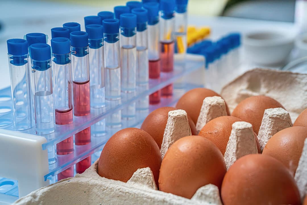 Bij een salmonella-detectie worden alle eieren, die geproduceerd zijn sinds de datum van monstername, door de NVWA verdacht verklaard. - Foto: Canva
