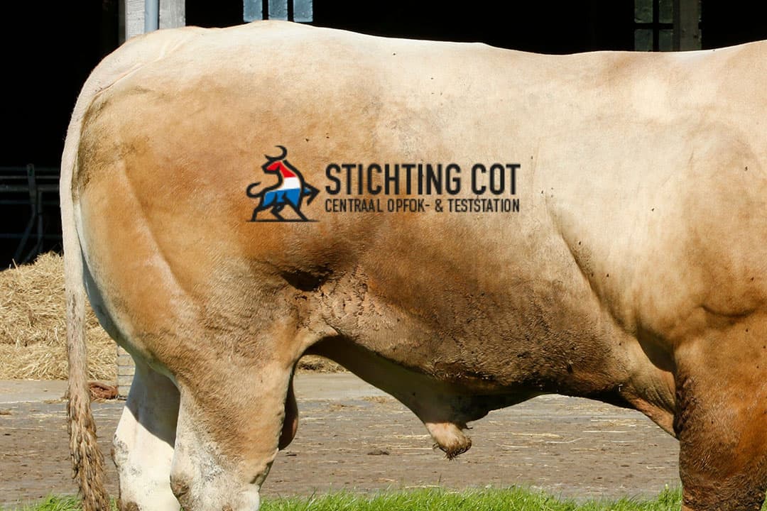 Foto: Henk Riswick en COT