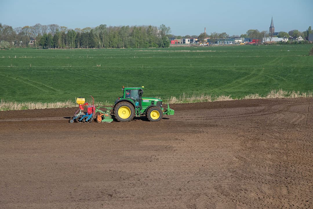 Vanaf 2023 moeten akkerbouwers eens per vier jaar een – zeer laag renderend – rustgewas telen, mogen melkveebedrijven maximaal 40% mais telen en wordt een teeltvrije zone langs sloten verplicht. - Foto: Michel Velderman