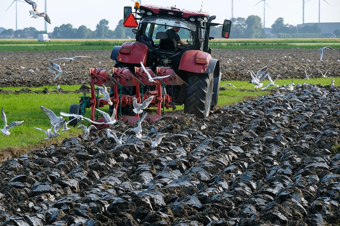 In het concept zevende actieprogramma nitraatrichtlijn staan verplichtingen voor de bouwplannen van akkerbouwers, vollegrondsgroentetelers en graasdierhouders. - Foto: Jan Willem van Vliet