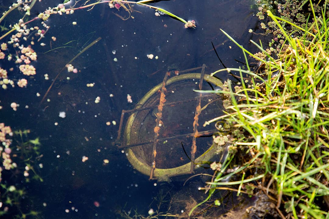 Onderwaterdrainage in veenweidgebied. - Foto: Herbert Wiggerman