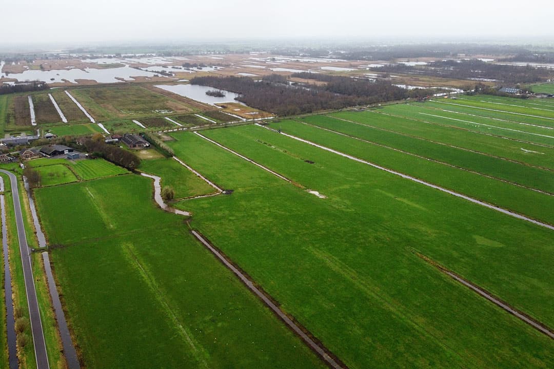 De aankoop van veehouderijlocaties bij stikstofgevoelige natuurgebieden loopt via de provincies. - Foto: Herbert Wiggerman