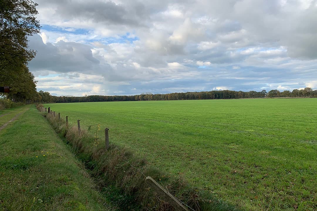 Landelijke beëindigingsregeling veehouderij zorgt voor minder stikstof in Natura 2000-gebieden. - Foto: Misset