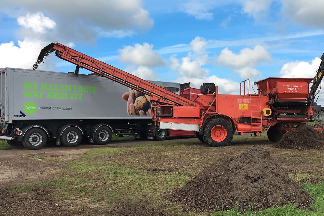 Zetmeelaardappelen worden geladen. Avebe start de campagne op 17 augustus. - Foto: Avebe