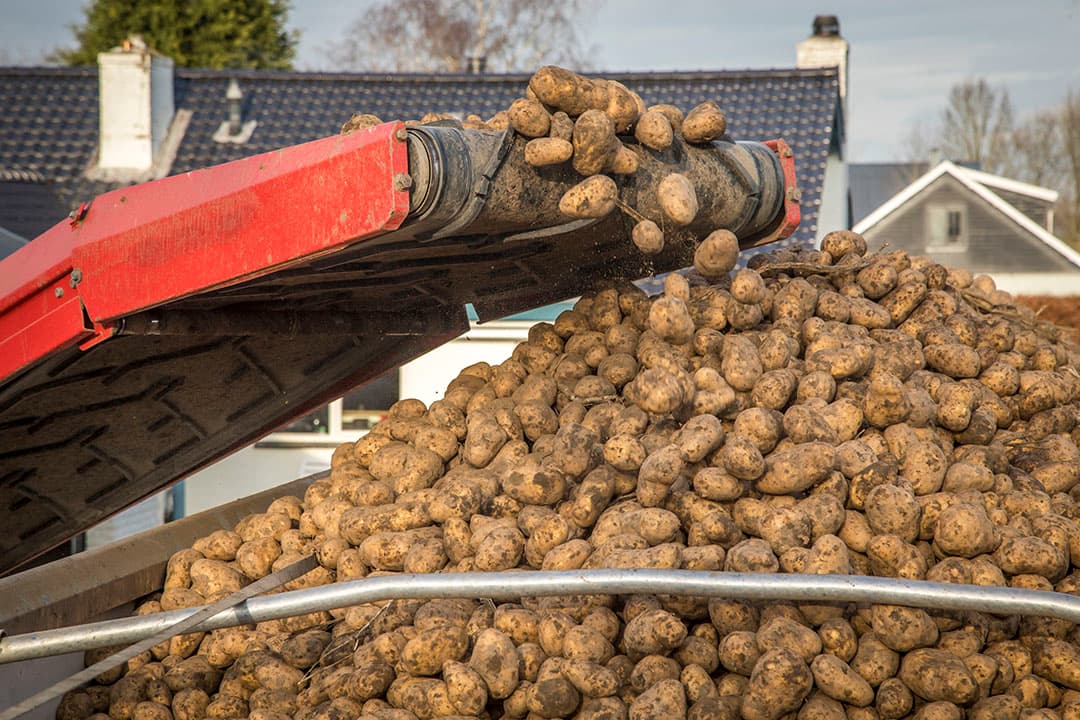 Foto: Koos Groenewold