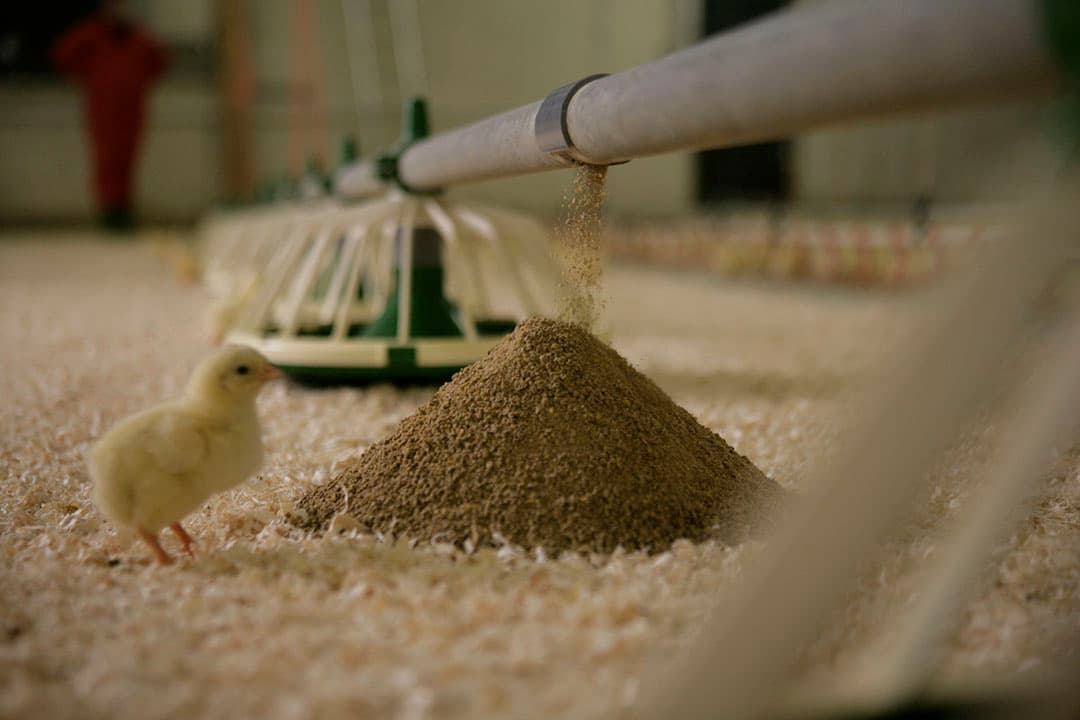 Foto: Jan Willem Schouten