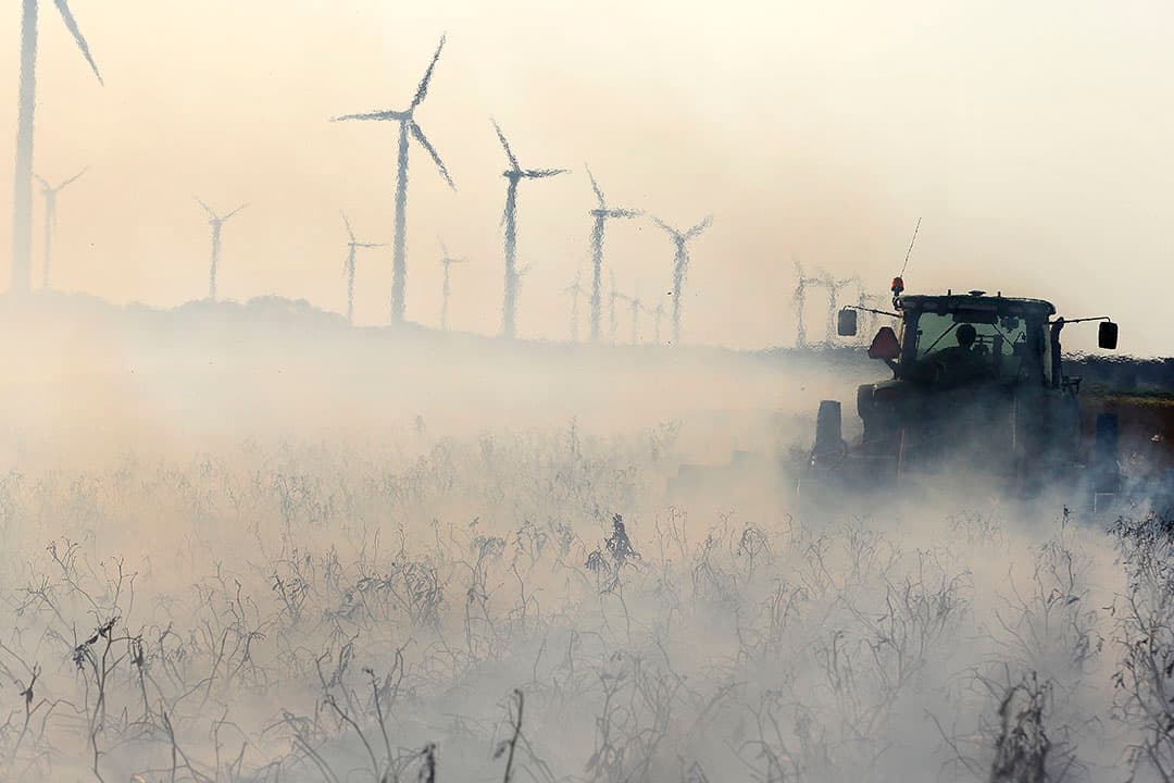 Afbranden van loof in biologische aardappelen in Flevoland. - Foto: Hans Prinsen