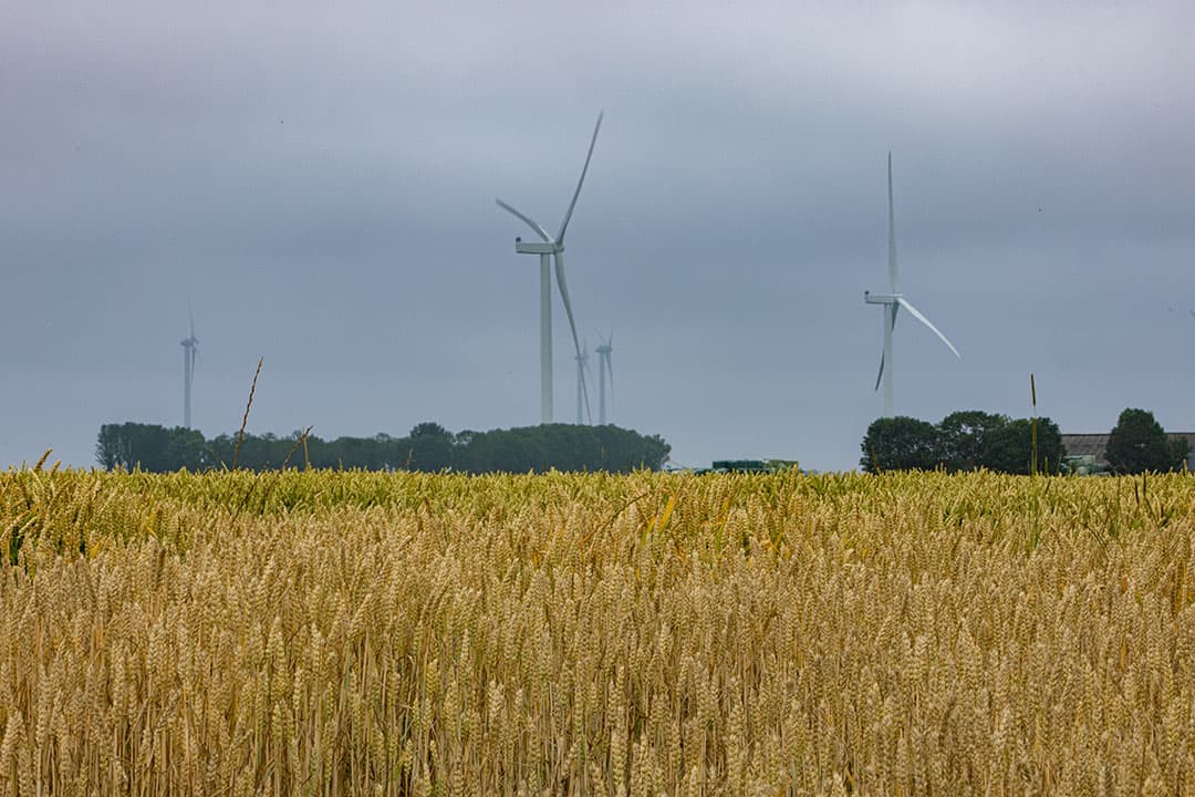 Foto: Peter Roek
