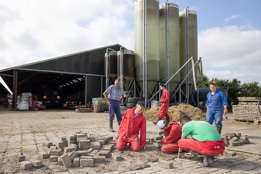 Mensen met een beperking aan het werk op het bedrijf van Peter en Marjan Dreessen in het Zeeuwse Koudekerke. Naast de 400 melkkoeien en de zorgtak hebben ze nog een waaier aan neventakken. - Foto: Peter Roek
