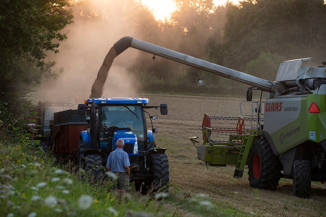 Tijdens de tarweoogst is het doorwerken tot in de kleine uurtjes. Loonwerker Cerfontaine en akkerbouwer Ad Boumans uit het LImburgse Cadier en Keer doen hun best alles droog binnen te krijgen. - Foto: Twan Wiermans