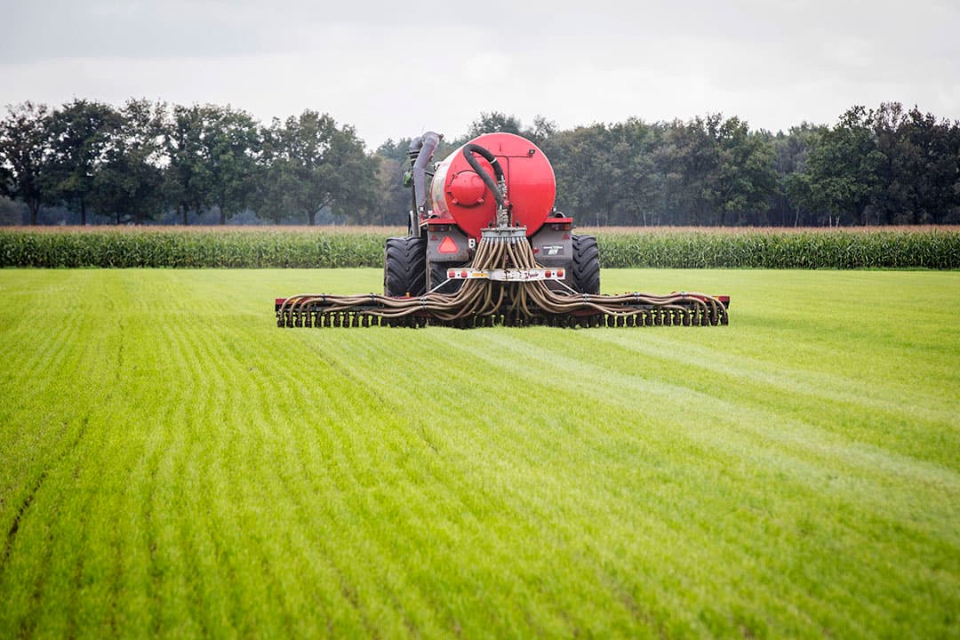 Foto: Koos Groenewold