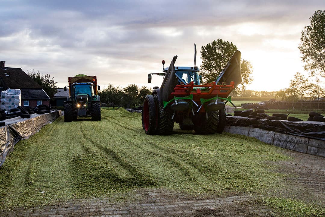 Ook met het het gebruik van een inkuilmiddel is een goed inkuilmanagement van groot belang. - Foto: Ronald Hissink