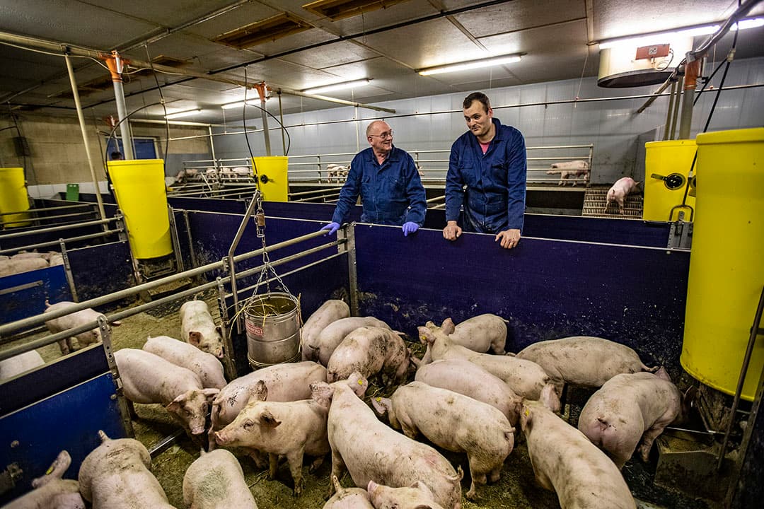 'Waar blijft de tijd om een stap terug te doen en rustig te zien hoe ‘je kroost’ zich ontwikkelt?', vraag Patricia van Ginderen zich af. - Foto: Ronald Hissink