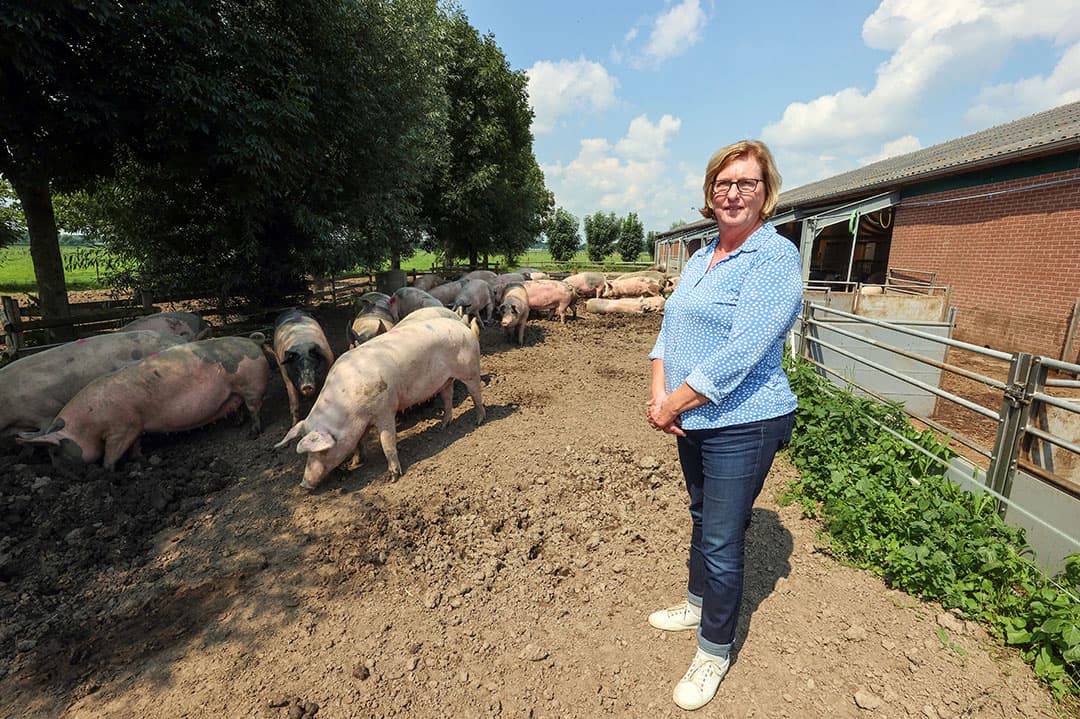 Janny van den Bogert – Hoeflaken (64) is getrouwd met Andries (64). In Hedel (Gld.) hebben ze in maatschap met zoons Adriaan (32) en Jochem (25) een biologisch varkensbedrijf. - Foto: Bert Jansen