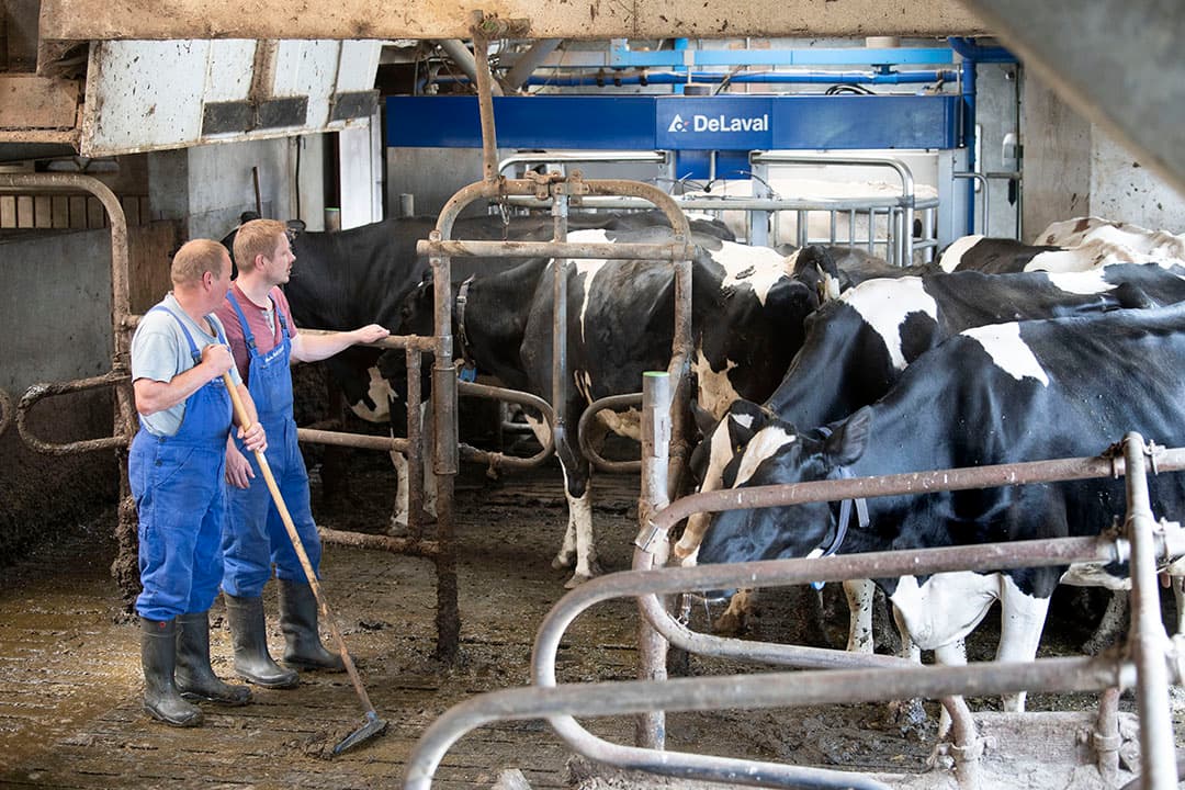 Met de VMS V310 is het percentage onvolledige melkingen gedaald van gemiddeld 12% naar 1%. Dat scheelt niet alleen melk maar ook nog eens frustratie. - Foto: Mark Pasveer