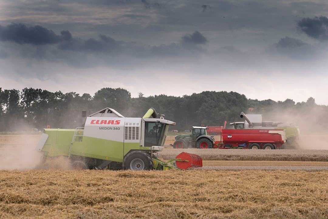 Met man en macht wordt er gewerkt om de graanoogst binnen te krijgen, zoals hier in het Groningse Nieuw Beerta. Kippers en strowagens rijden af en aan en dat gaat door tot in de late uren. Een week geleden werd de grootste slag geslagen. - Foto: Mark Pasveer