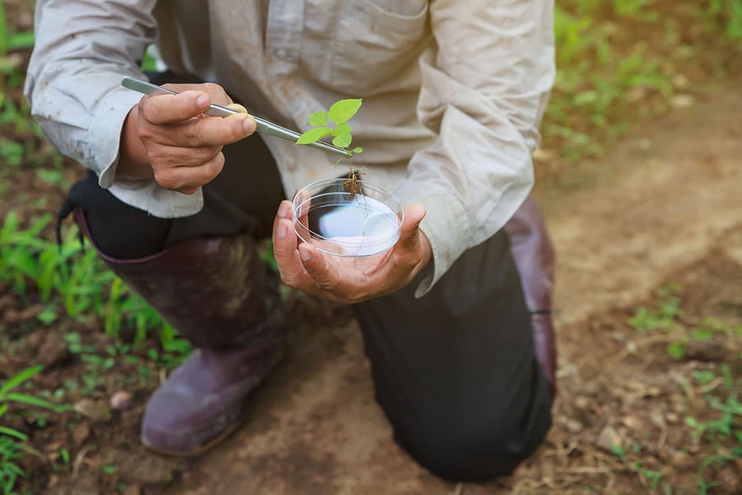 'Onderzoeksvoorstellen die tegen de trend ingaan en bijvoorbeeld als mogelijk resultaat hebben dat het met de bodemkwaliteit wel meevalt, zullen minder snel toegekend worden'. - Foto: Canva