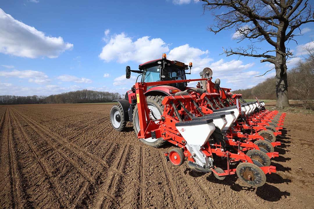 Telers kunnen in augustus alweer zaaizaad bestellen voor het komende seizoen. Cosun Beet Company geeft dan 5 tot 10% korting. - Foto: Henk Riswick