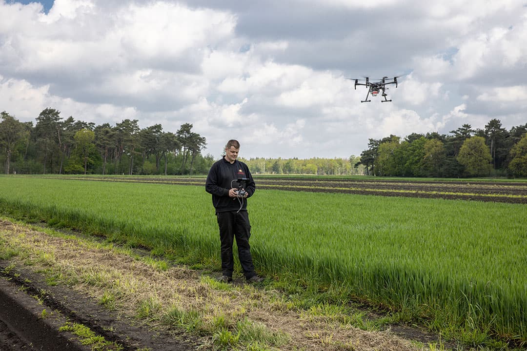 Jacob van den Borne tijdens een gewasinspectie met een drone. - Foto: Peter Roek
