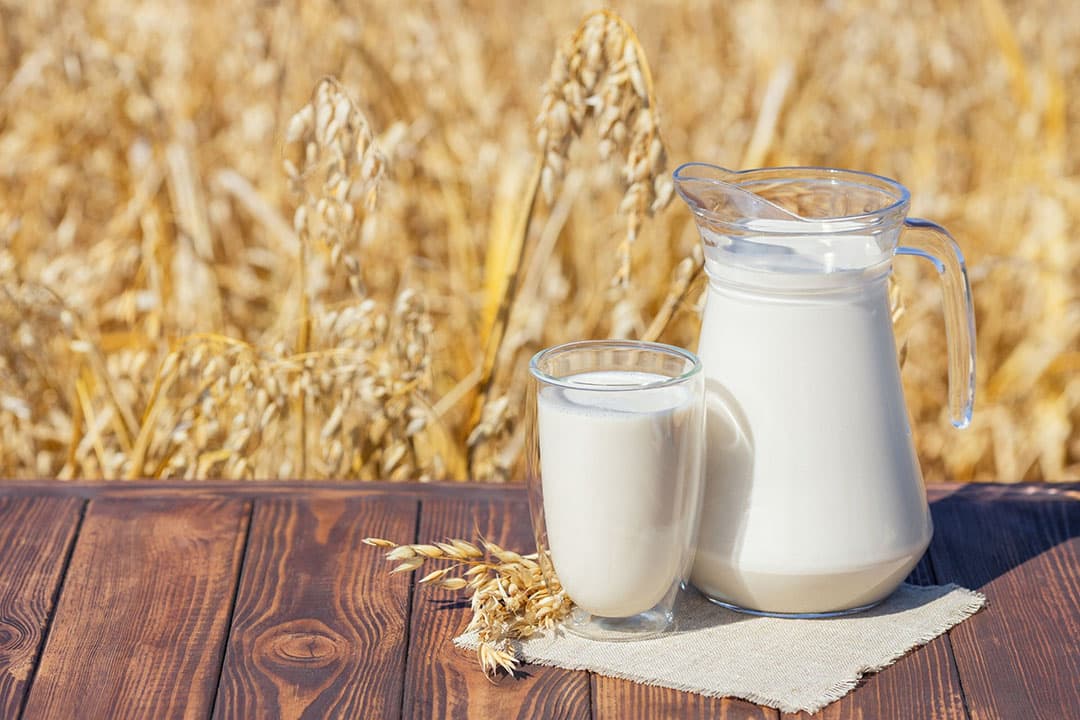 FrieslandCampina overweegt om klassieke zuivelmerken als Campina en Chocomel uit te breiden met vegan varianten. - Foto: Canva
