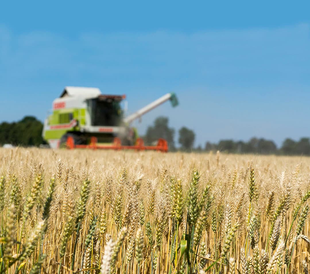 De oogst is voor veel boeren de kroon op het werk. Dat het een drukke tijd is, vinden de meesten niet erg, een beetje druk zijn is juist wel lekker. - Foto: Jan Willem van Vliet