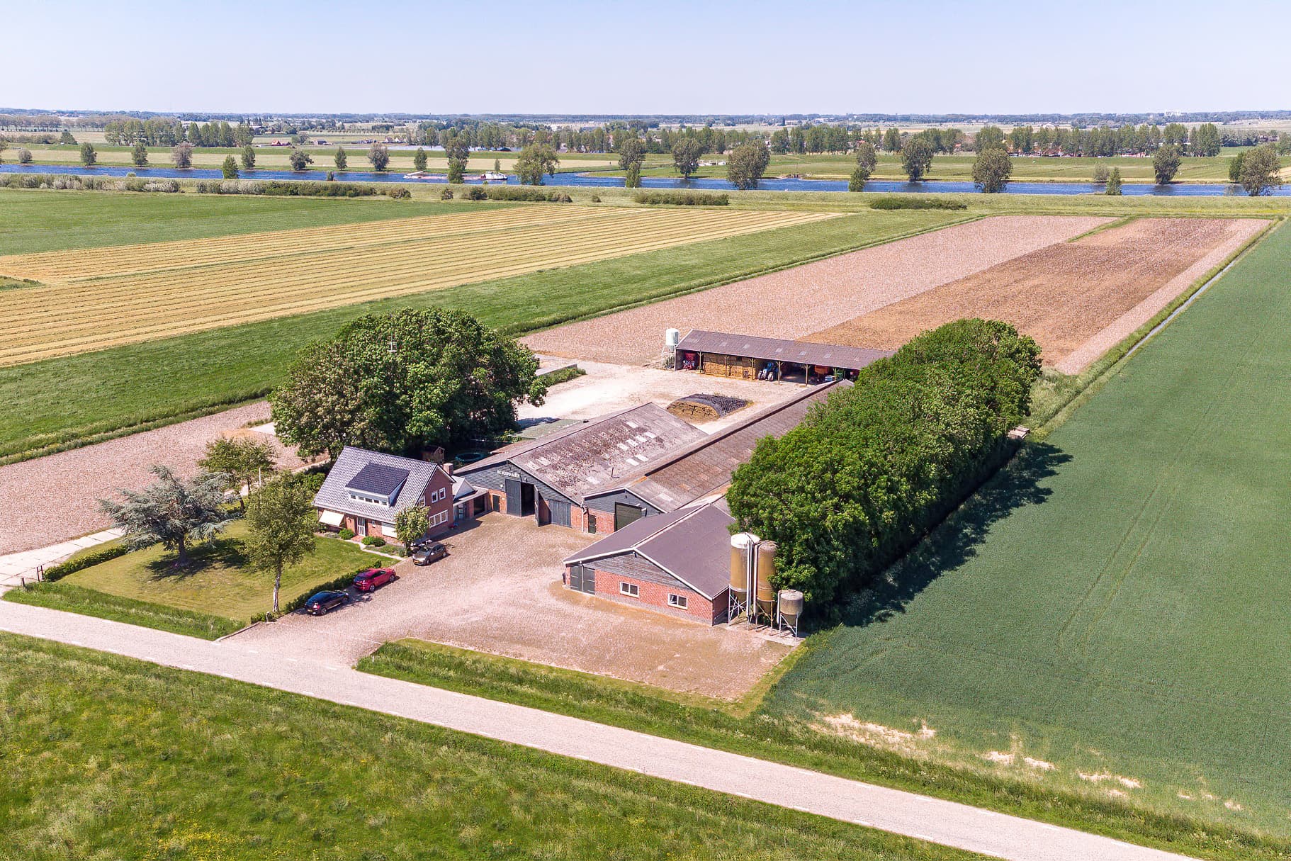 Melkgeitenbedrijf in Doeveren (N.-Br.). Het bedrijf staat te koop voor € 1.750.000. - Foto: Arjan Pullen