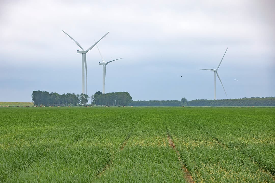 koolstofboeren
