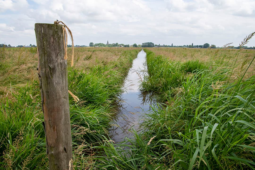 Het staat er slecht voor met onze bodem volgens Decade of Action. De landbouw is de dader, zegt deze groep van natuurminnaars. - Foto: Cor Salverius Fotografie