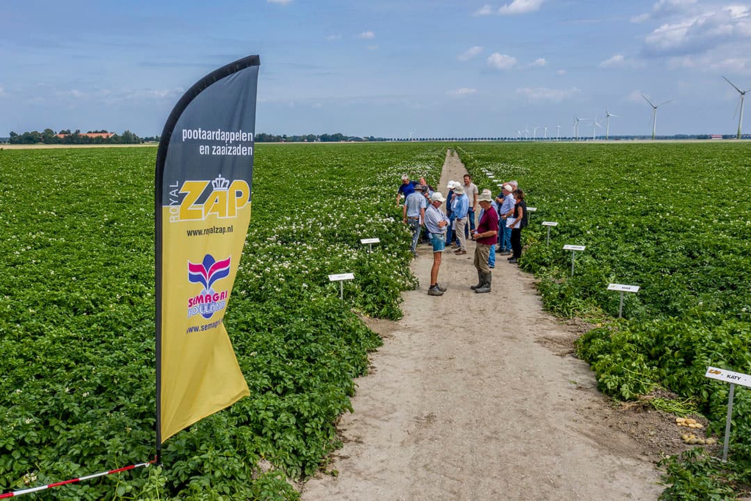 Foto: Sytze Bakker