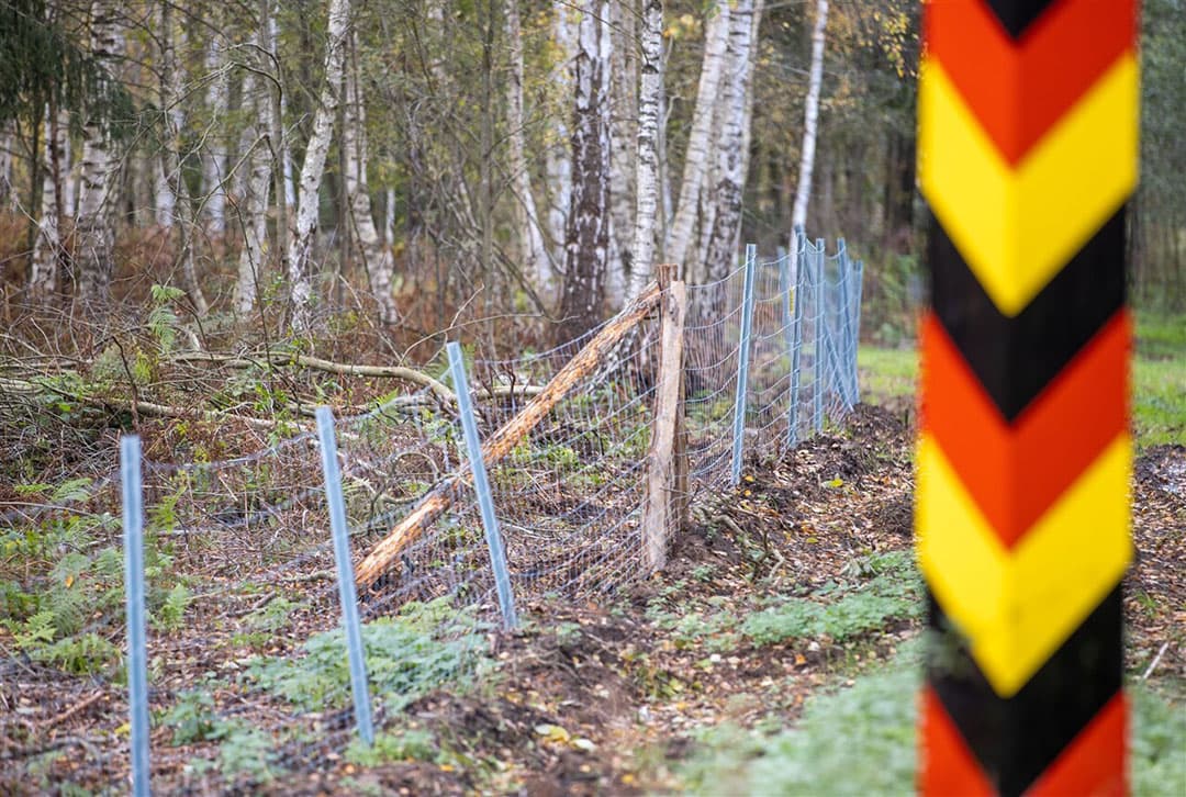Het Duitse Bauernverband wil onder meer een dubbele afrastering om zwijnen uit Polen te weren. - Foto: ANP