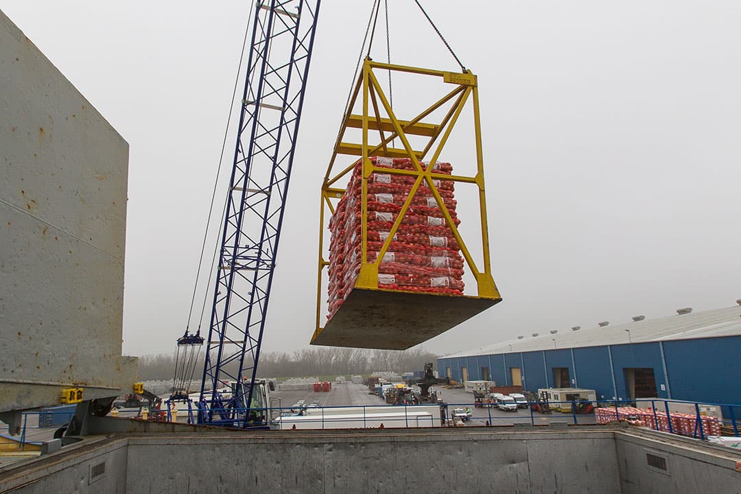 Uien worden geladen voor export. - Foto: Peter Roek