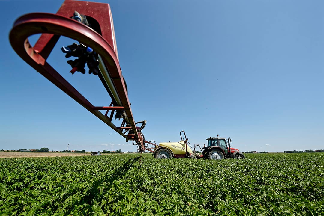 Aardappels worden gespoten tegen phytophthora. - Foto: Lex Salverda