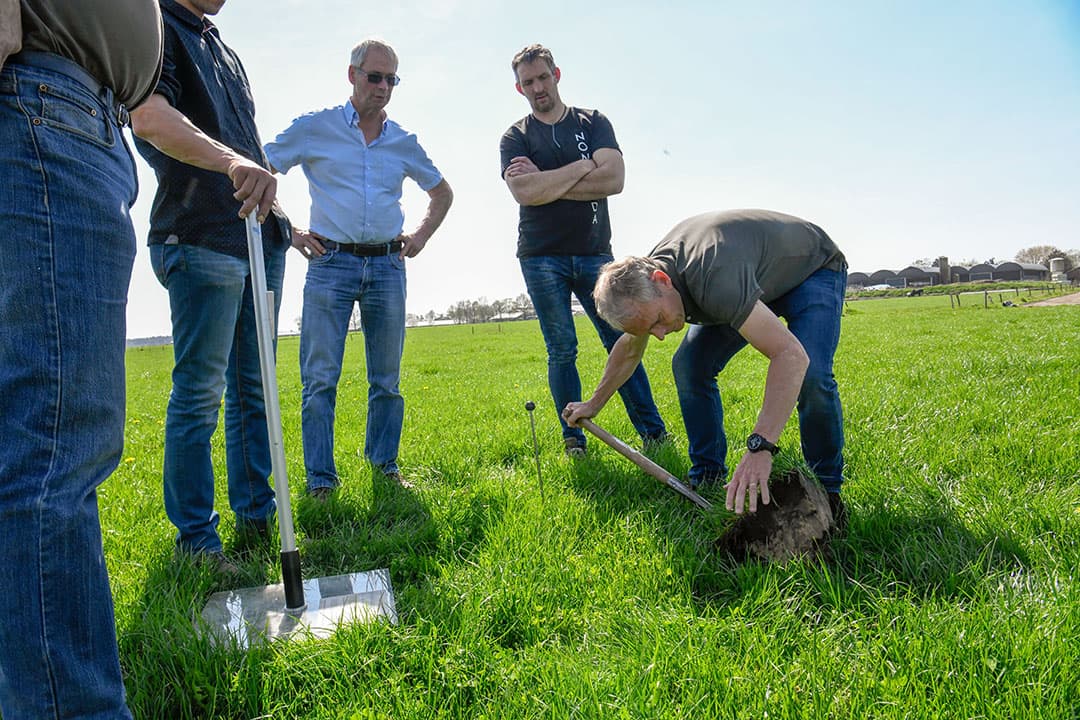 Een goede beoordeling van de grasmat, en de bodem daaronder, maakt het mogelijk om een juiste afweging te maken van de actie die nodig is om de samenstelling van de grasmat te verbeteren. - Foto: Bert Jansen