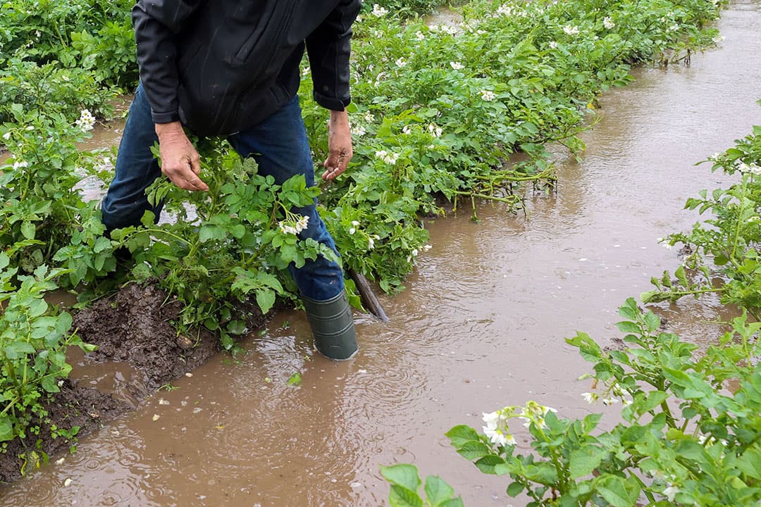 Wateroverlast door extreme hoosbuien in Zuid-Limburg, juli 2021. - Foto: Bert Jansen