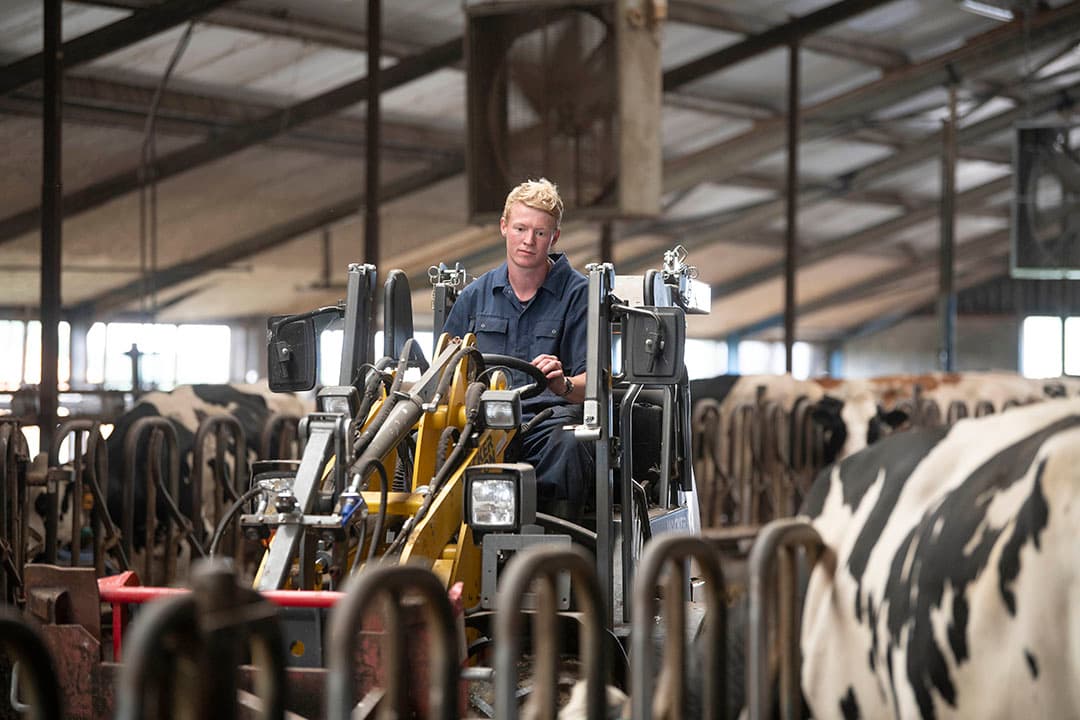 Het optimaliseren van de rantsoenen voor de droge koeien is iets waar Klaas zich erg mee bezig houdt. - Foto's: Mark Pasveer
