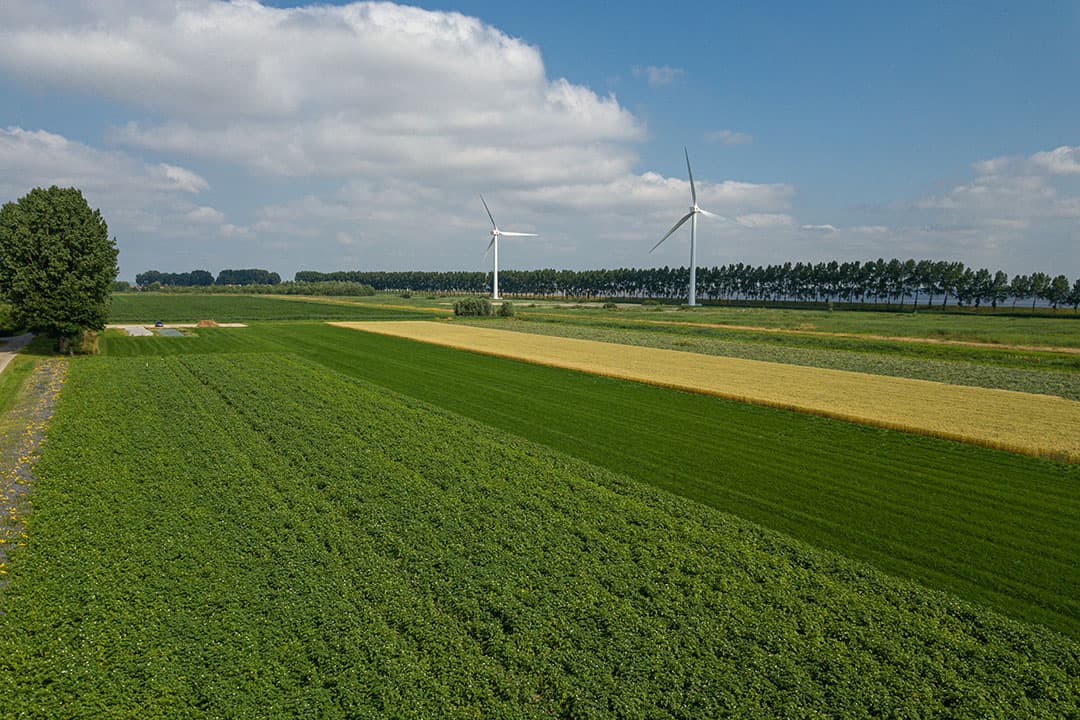 Proeftuin van Pallandtpolder. De noodzakelijke omslag in de landbouw die links en rechts wordt gepredikt, is al lang aan de gang.- Foto: Peter Roek