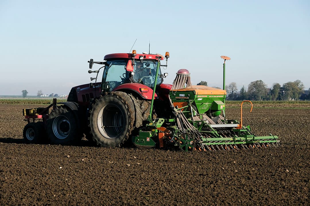 Foto: Jan Willem van Vliet