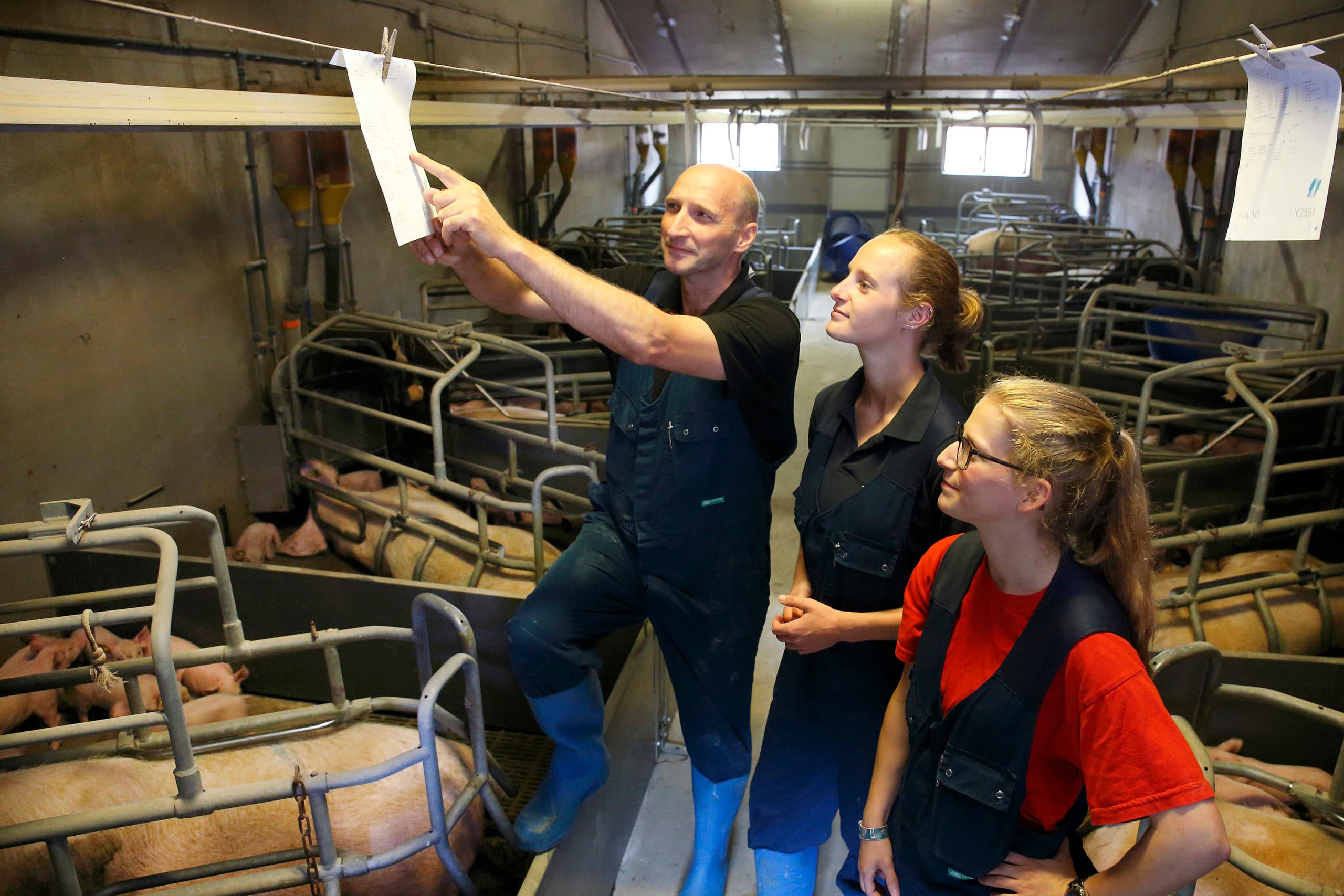 Tijdens het werk in de kraamstal is er ook ruimte voor overleg. Berendsen deelt zijn ervaring met de jongere medewerkers. - Foto: Hans Prinsen