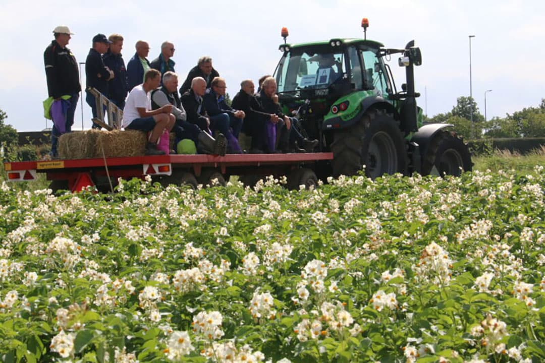 Om aan de corona-eisen te voldoen mochten per rondgang 10 personen per wagen mee. Op de foto een rondgang langs aardappelproeven. - Foto's: Anton Dingemanse
