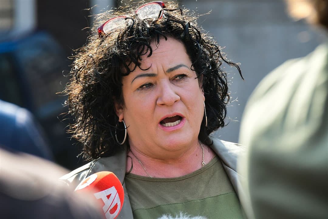 Tweede Kamerlid voor de BoerBurgerBeweging Caroline van der Plas. - Foto: ANP