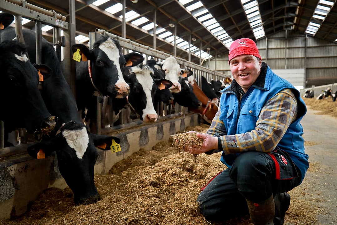 Melkveehouder Bart Ceusters: "Door het gebruik van Selko-TMR hoef ik mijn voermanagement niet aan te passen naar tweemaal daags voeren, dat bespaart me behoorlijk veel tijd en arbeid.” - Foto: Trouw Nutrition