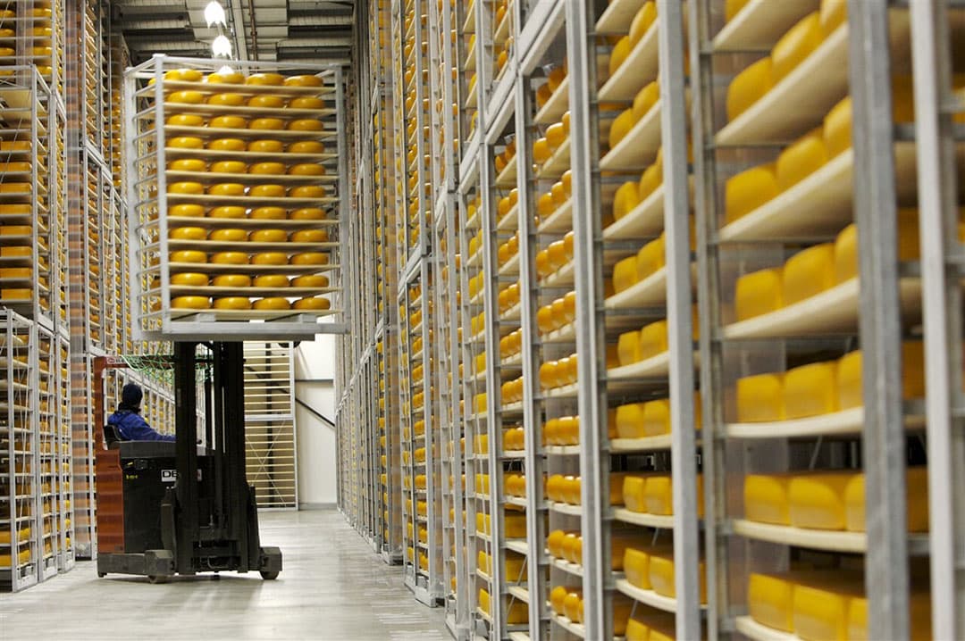 Kaas blijft het belangrijkste zuivelproduct. Daarvan werd in 2020 963.000 ton geproduceerd, een toename van 4%. - Foto: ANP