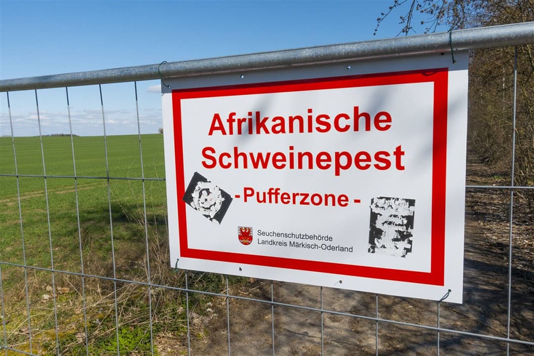 Langs de 255 kilometer lange grens is de verplaatsbare afrastering met stroomdraden geheel vervangen door een vaste afrastering met gaas.  - Foto: ANP