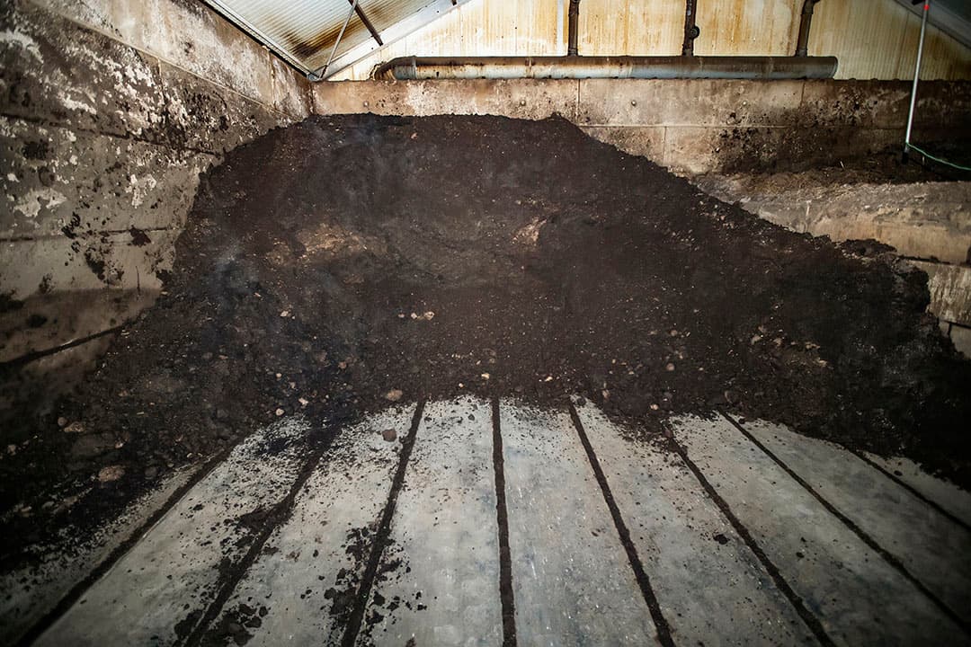 Het grootste deel van de fosfaat in de Vlaamse mest wordt verwerkt na compostering van de dikke fractie. - Foto: Ronald Hissink