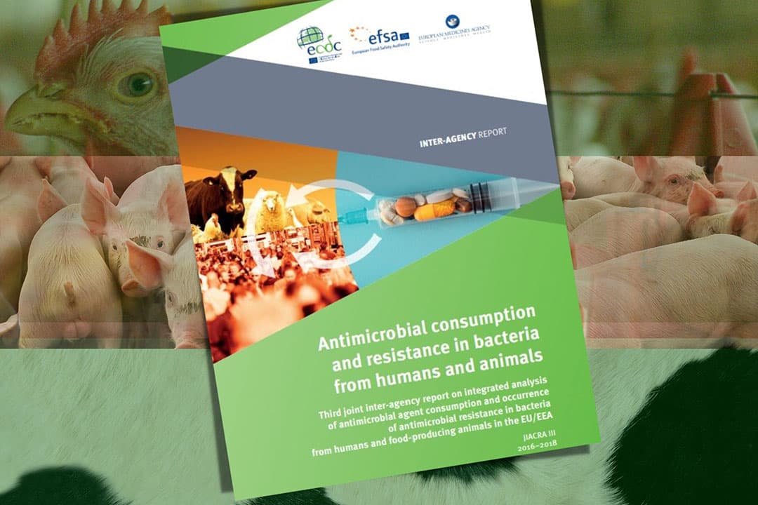 Afbeelding: cover rapport 'Antimicrobial consumption and resistance in bacteria from humans and animals' en Canva