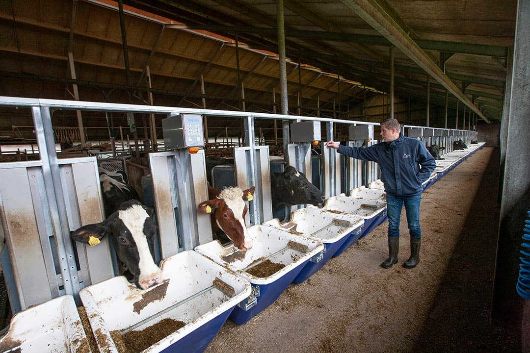Voerefficiëntie van koeien meten en deze koppelen aan de afstamming van de koeien om zo genetische verschillen naar boven te halen. Om data te genereren worden speciale voersystemen op praktijkbedrijven geplaatst.  - Foto: Hans Banus