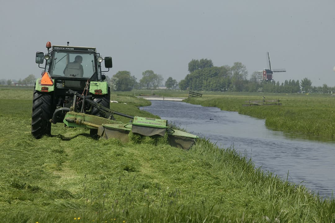 Langs slootkanten moet 3 meter onbemest en onbespoten blijven. Maar er zijn uitzonderingen mogelijk in waterrijke gebieden. Dit moet nog uitgewerkt worden voor Nederland. - Foto: Mark Pasveer