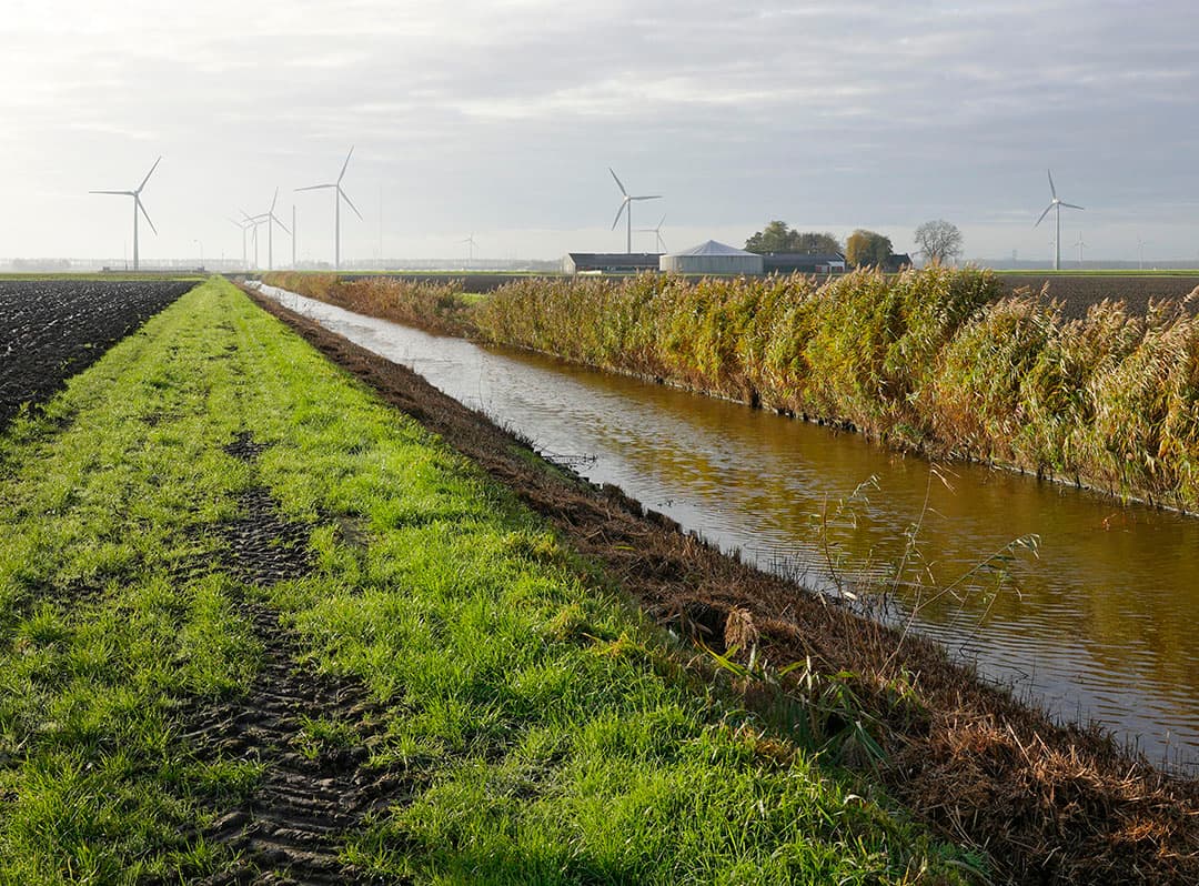 In het nieuwe GLB worden onder meer eisen gesteld aan het aanhouden van bufferstroken langs waterlopen. Foto: Ruud Ploeg