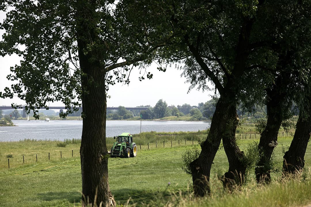 Maaien van gras in de uiterwaarden van de Nederrijn, nabij het Gelderse Lienden. - Foto: Hans Prinsen